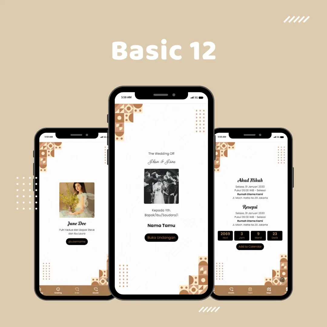 Tema Basic 12
