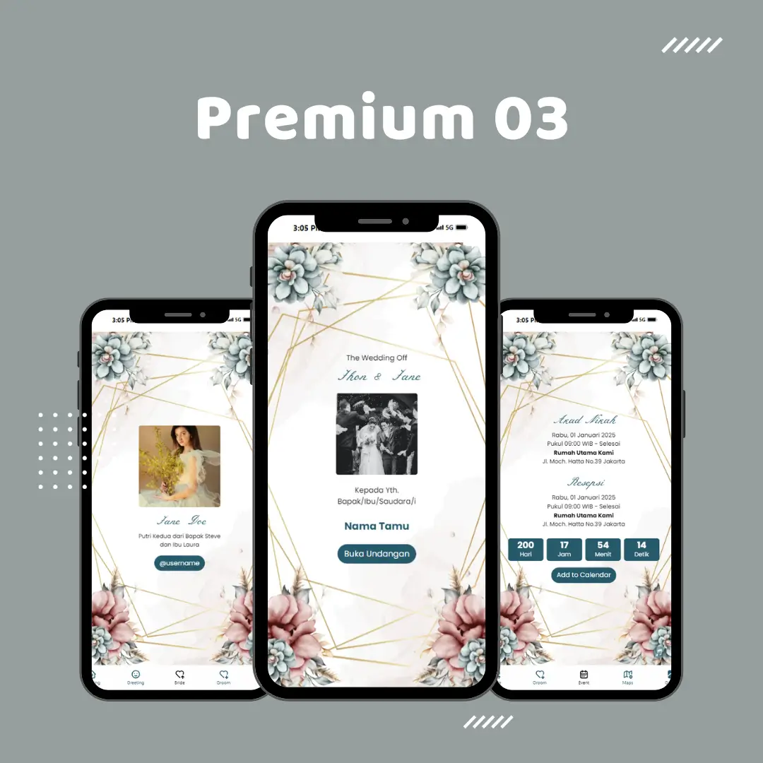 Tema Basic Premium 03